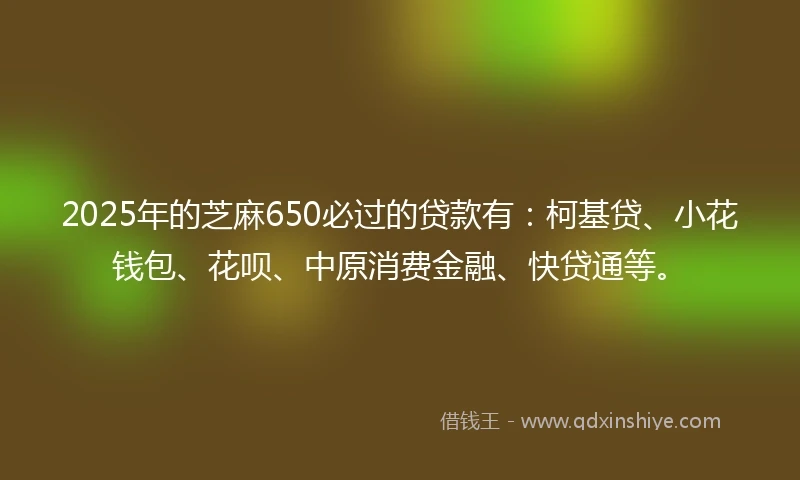 2025年的芝麻650必过的贷款有：柯基贷、小花钱包、花呗、中原消费金融、快贷通等。