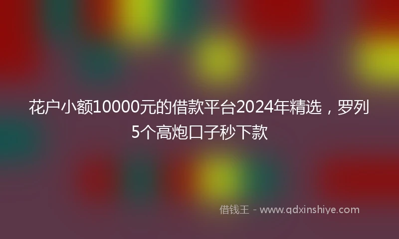 花户小额10000元的借款平台2024年精选，罗列5个高炮口子秒下款