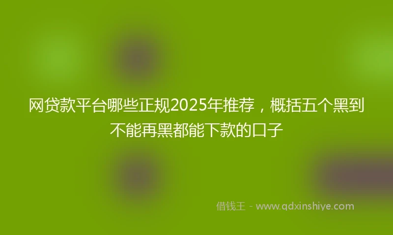 网贷款平台哪些正规2025年推荐，概括五个黑到不能再黑都能下款的口子