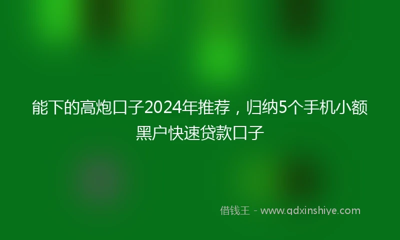 能下的高炮口子2024年推荐，归纳5个手机小额黑户快速贷款口子