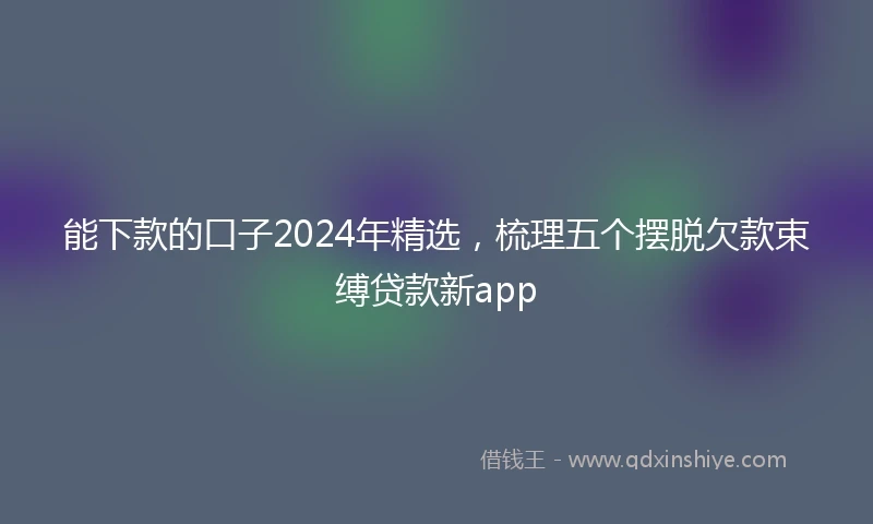 能下款的口子2024年精选，梳理五个摆脱欠款束缚贷款新app