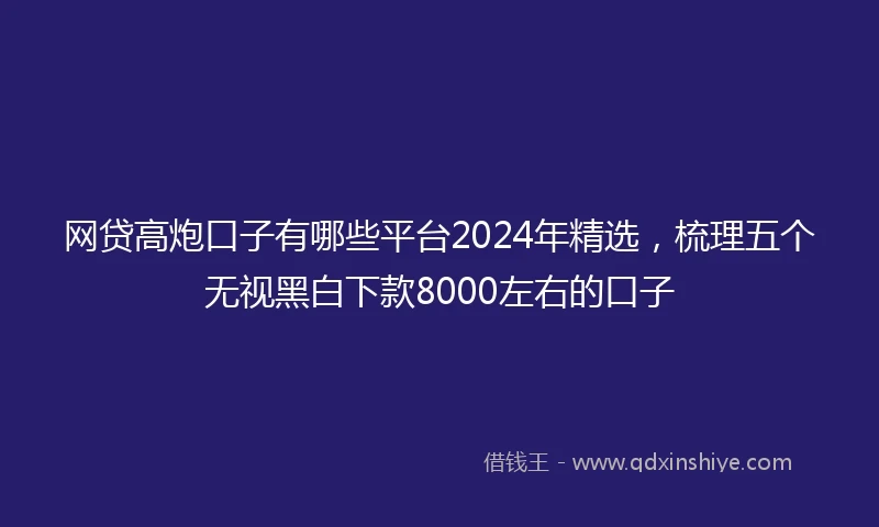 网贷高炮口子有哪些平台2024年精选，梳理五个无视黑白下款8000左右的口子