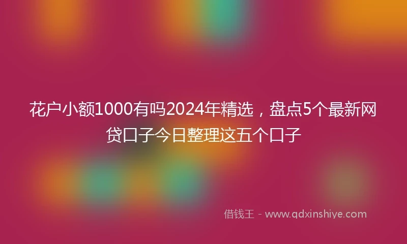 花户小额1000有吗2024年精选，盘点5个最新网贷口子今日整理这五个口子