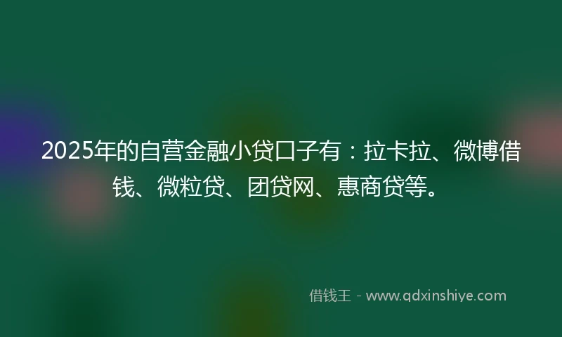 2025年的自营金融小贷口子有：拉卡拉、微博借钱、微粒贷、团贷网、惠商贷等。