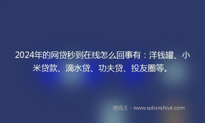 2024年的网贷秒到在线怎么回事有：洋钱罐、小米贷款、滴水贷、功夫贷、投友圈等。