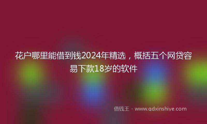 花户哪里能借到钱2024年精选，概括五个网贷容易下款18岁的软件