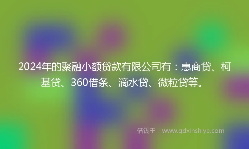 2024年的聚融小额贷款有限公司有：惠商贷、柯基贷、360借条、滴水贷、微粒贷等。