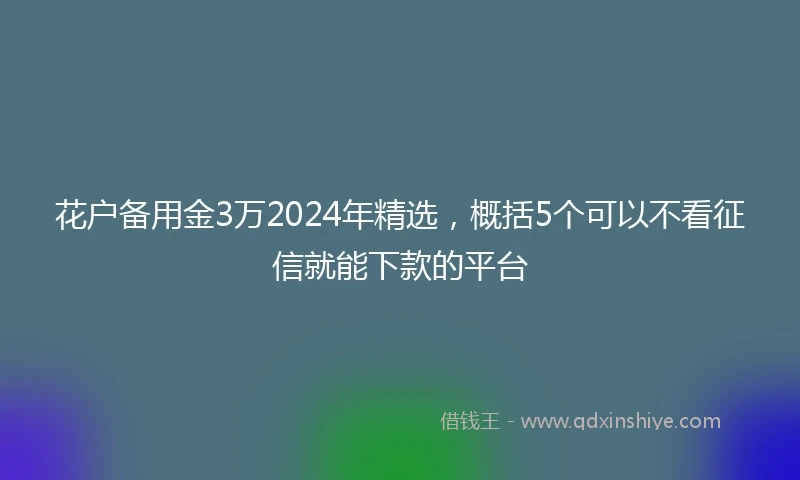 花户备用金3万2024年精选，概括5个可以不看征信就能下款的平台