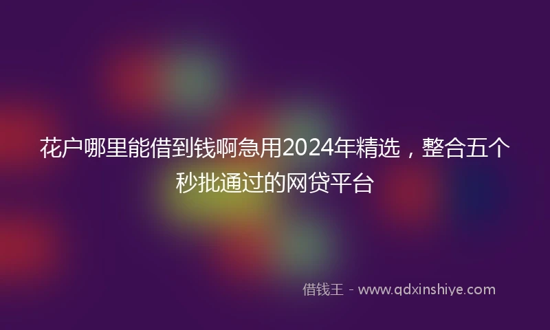 花户哪里能借到钱啊急用2024年精选，整合五个秒批通过的网贷平台