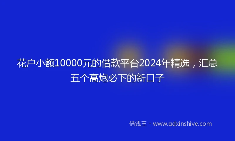 花户小额10000元的借款平台2024年精选，汇总五个高炮必下的新口子