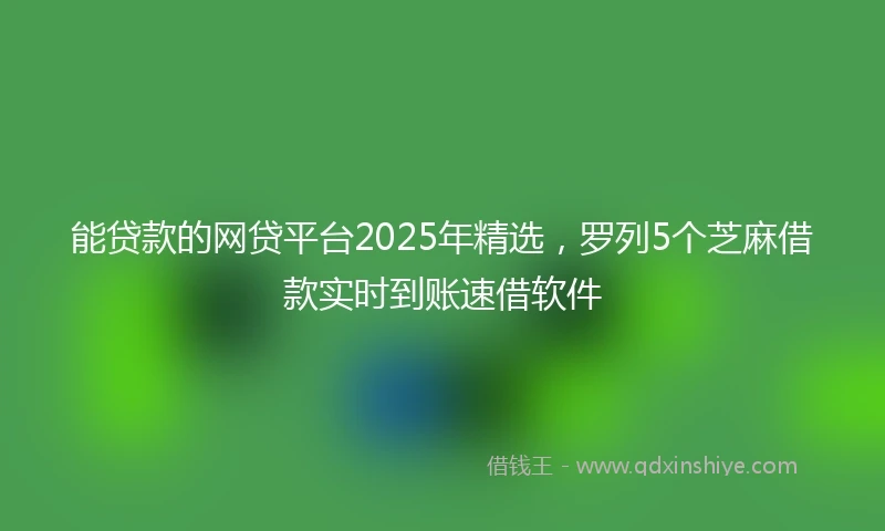能贷款的网贷平台2025年精选，罗列5个芝麻借款实时到账速借软件