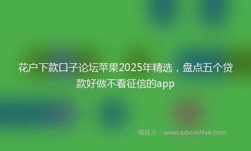 花户下款口子论坛苹果2025年精选，盘点五个贷款好做不看征信的app