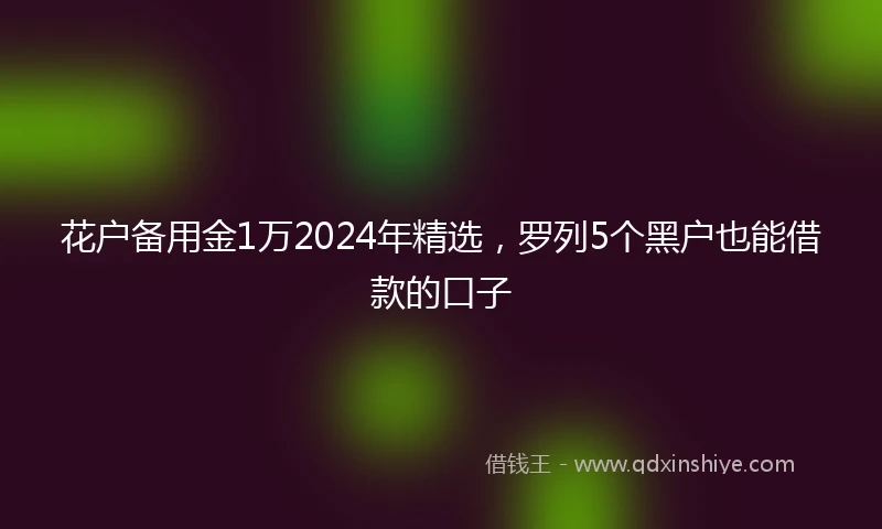 花户备用金1万2024年精选，罗列5个黑户也能借款的口子