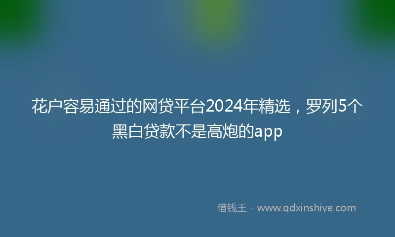 花户容易通过的网贷平台2024年精选，罗列5个黑白贷款不是高炮的app