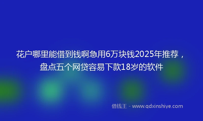 花户哪里能借到钱啊急用6万块钱2025年推荐，盘点五个网贷容易下款18岁的软件