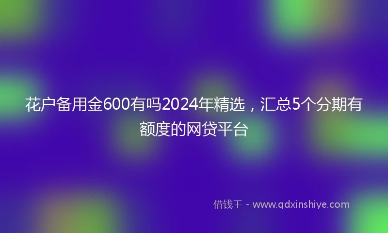花户备用金600有吗2024年精选，汇总5个分期有额度的网贷平台