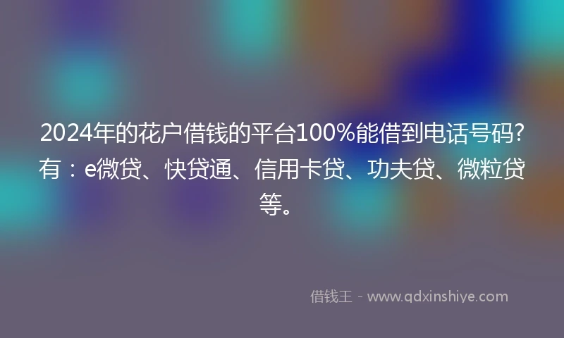 2024年的花户借钱的平台100%能借到电话号码?有：e微贷、快贷通、信用卡贷、功夫贷、微粒贷等。