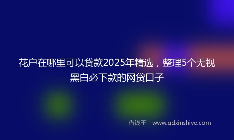 花户在哪里可以贷款2025年精选，整理5个无视黑白必下款的网贷口子