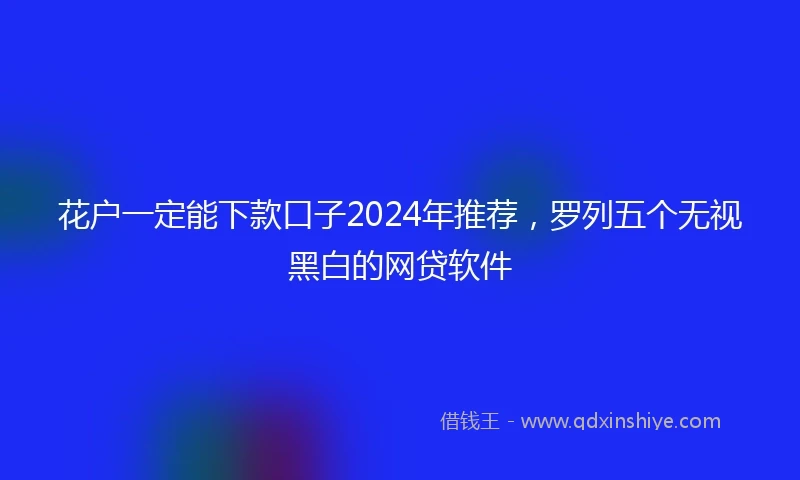 花户一定能下款口子2024年推荐，罗列五个无视黑白的网贷软件