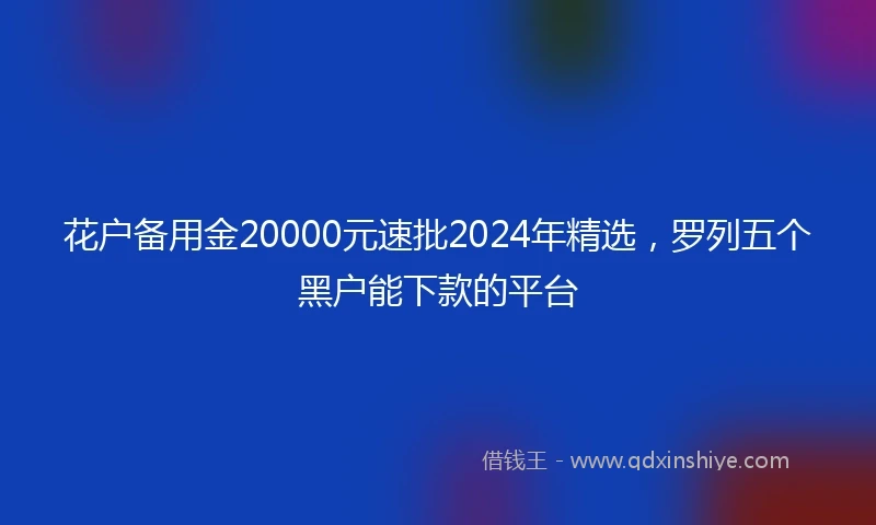 花户备用金20000元速批2024年精选，罗列五个黑户能下款的平台