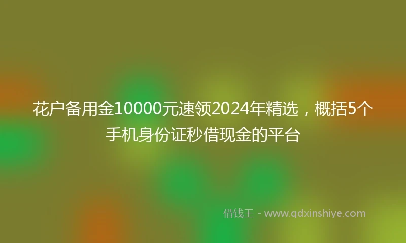 花户备用金10000元速领2024年精选，概括5个手机身份证秒借现金的平台