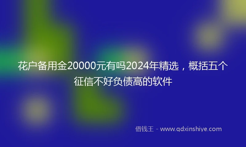 花户备用金20000元有吗2024年精选，概括五个征信不好负债高的软件