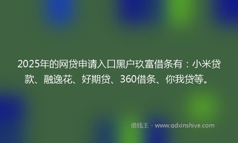 2025年的网贷申请入口黑户玖富借条有：小米贷款、融逸花、好期贷、360借条、你我贷等。