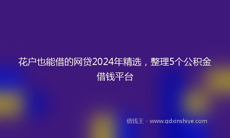 花户也能借的网贷2024年精选，整理5个公积金借钱平台