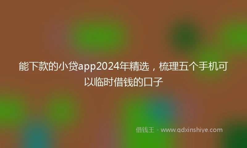 能下款的小贷app2024年精选，梳理五个手机可以临时借钱的口子
