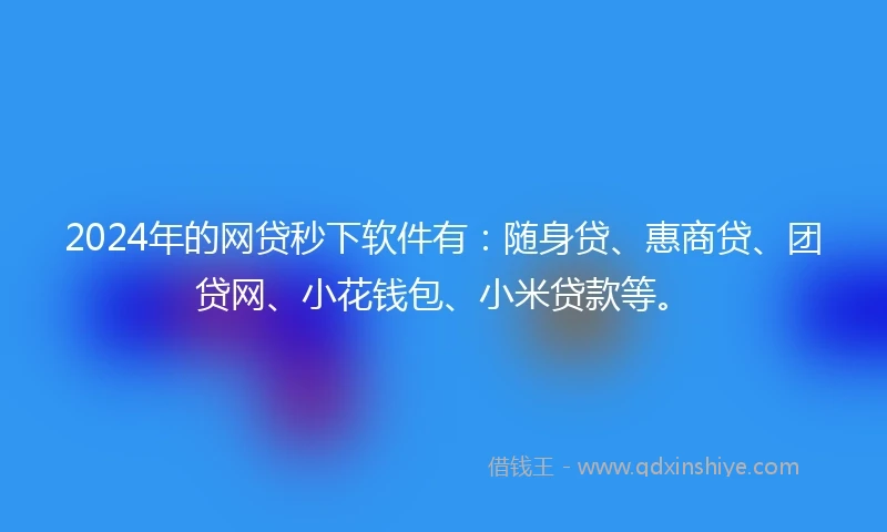 2024年的网贷秒下软件有：随身贷、惠商贷、团贷网、小花钱包、小米贷款等。