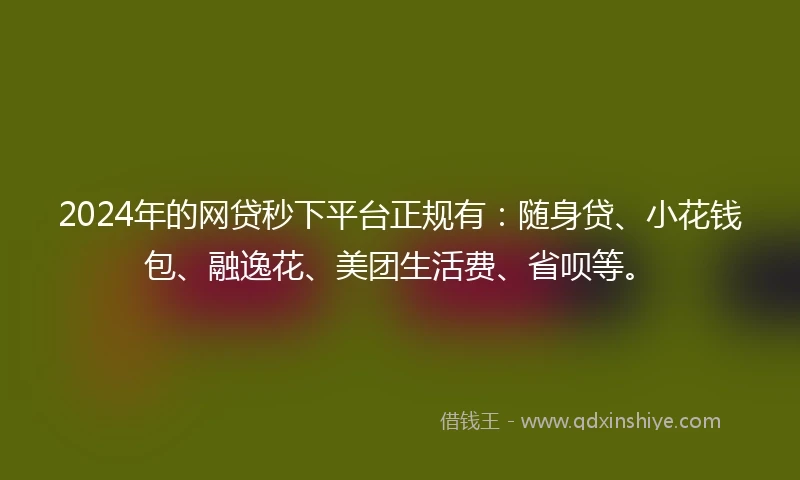 2024年的网贷秒下平台正规有：随身贷、小花钱包、融逸花、美团生活费、省呗等。
