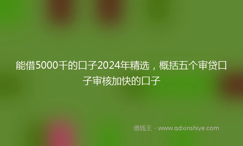 能借5000千的口子2024年精选，概括五个审贷口子审核加快的口子