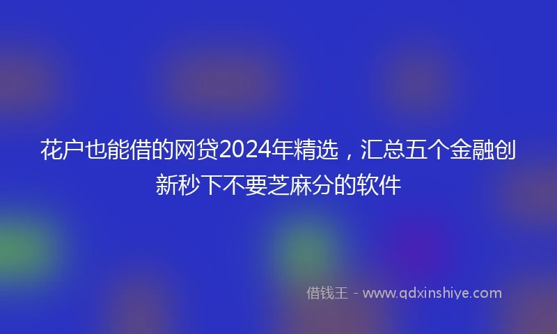 花户也能借的网贷2024年精选，汇总五个金融创新秒下不要芝麻分的软件