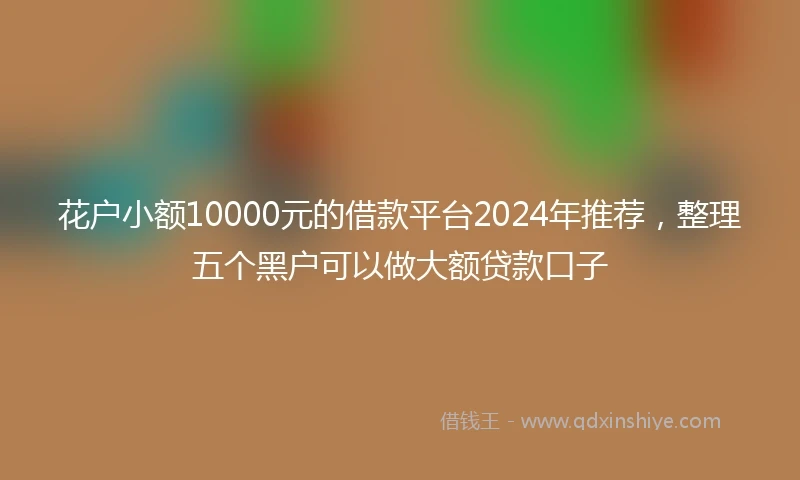 花户小额10000元的借款平台2024年推荐，整理五个黑户可以做大额贷款口子