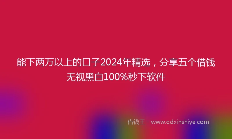 能下两万以上的口子2024年精选，分享五个借钱无视黑白100%秒下软件