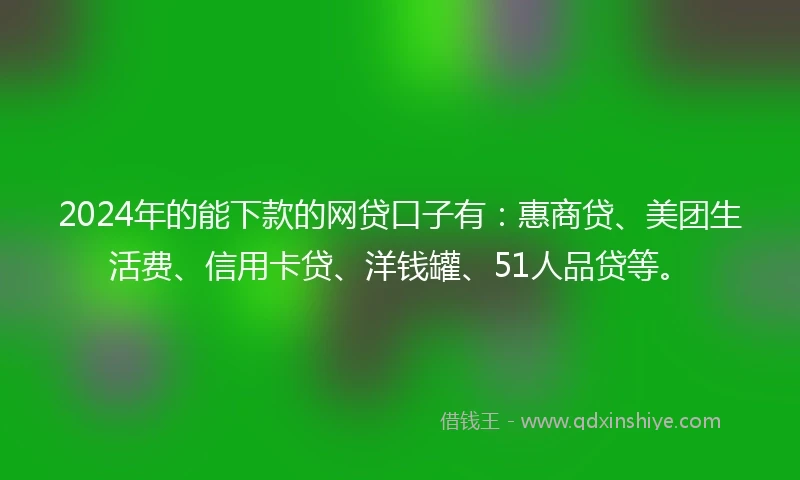 2024年的能下款的网贷口子有：惠商贷、美团生活费、信用卡贷、洋钱罐、51人品贷等。