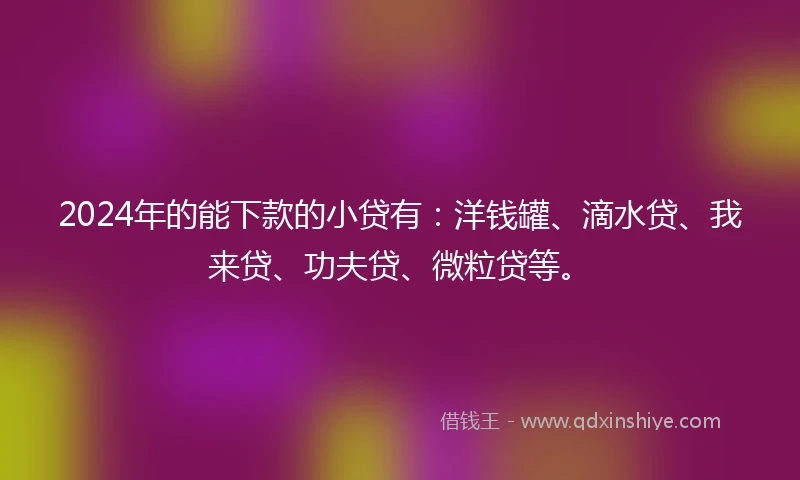 2024年的能下款的小贷有：洋钱罐、滴水贷、我来贷、功夫贷、微粒贷等。