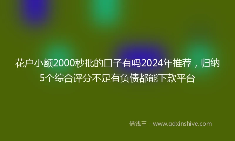 花户小额2000秒批的口子有吗2024年推荐，归纳5个综合评分不足有负债都能下款平台