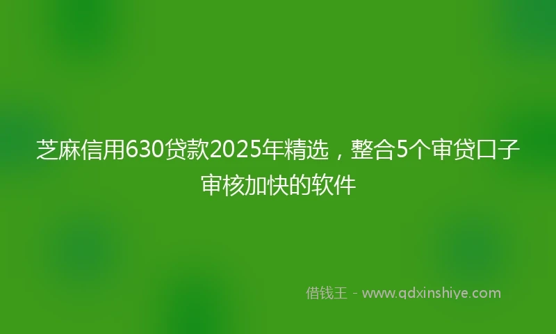 芝麻信用630贷款2025年精选，整合5个审贷口子审核加快的软件