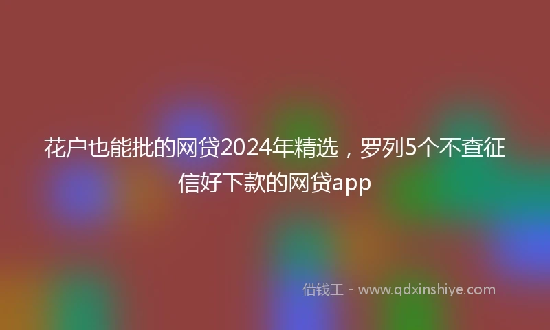 花户也能批的网贷2024年精选，罗列5个不查征信好下款的网贷app
