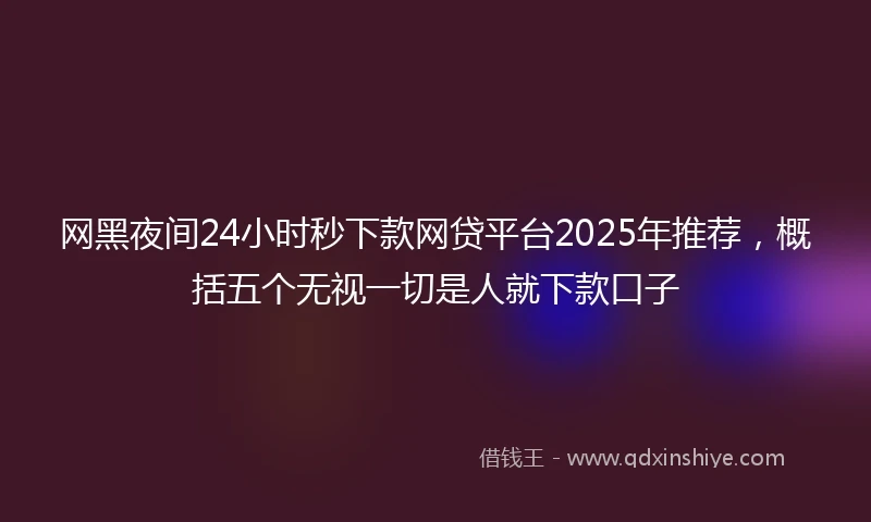 网黑夜间24小时秒下款网贷平台2025年推荐，概括五个无视一切是人就下款口子