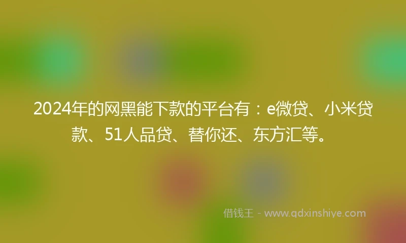 2024年的网黑能下款的平台有：e微贷、小米贷款、51人品贷、替你还、东方汇等。