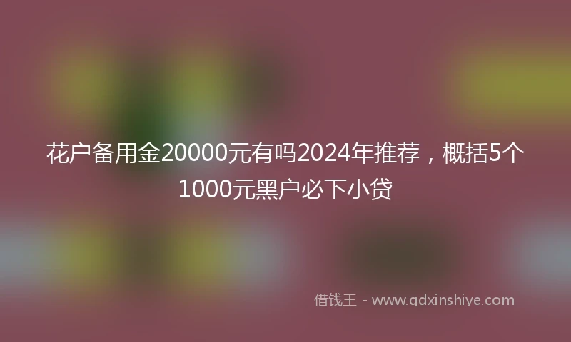 花户备用金20000元有吗2024年推荐，概括5个1000元黑户必下小贷