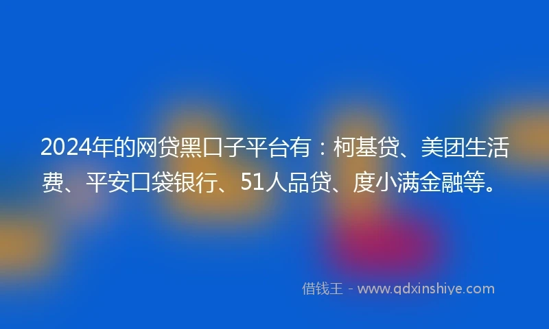 2024年的网贷黑口子平台有：柯基贷、美团生活费、平安口袋银行、51人品贷、度小满金融等。