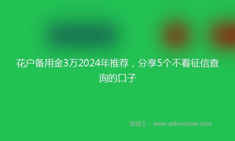 花户备用金3万2024年推荐，分享5个不看征信查询的口子