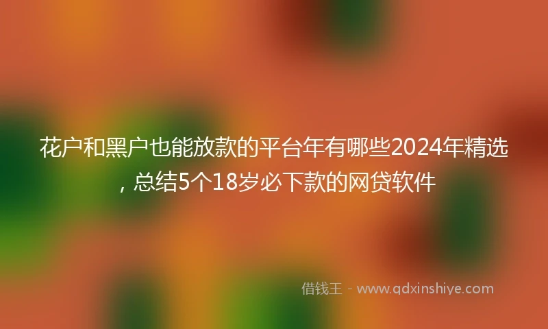 花户和黑户也能放款的平台年有哪些2024年精选，总结5个18岁必下款的网贷软件