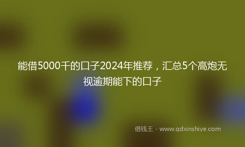 能借5000千的口子2024年推荐，汇总5个高炮无视逾期能下的口子