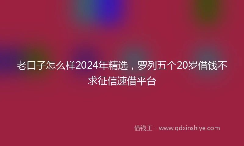 老口子怎么样2024年精选，罗列五个20岁借钱不求征信速借平台