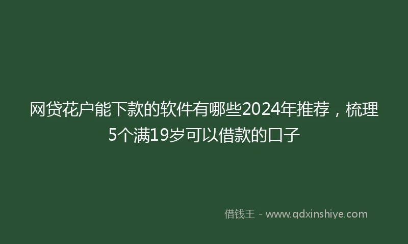 网贷花户能下款的软件有哪些2024年推荐，梳理5个满19岁可以借款的口子