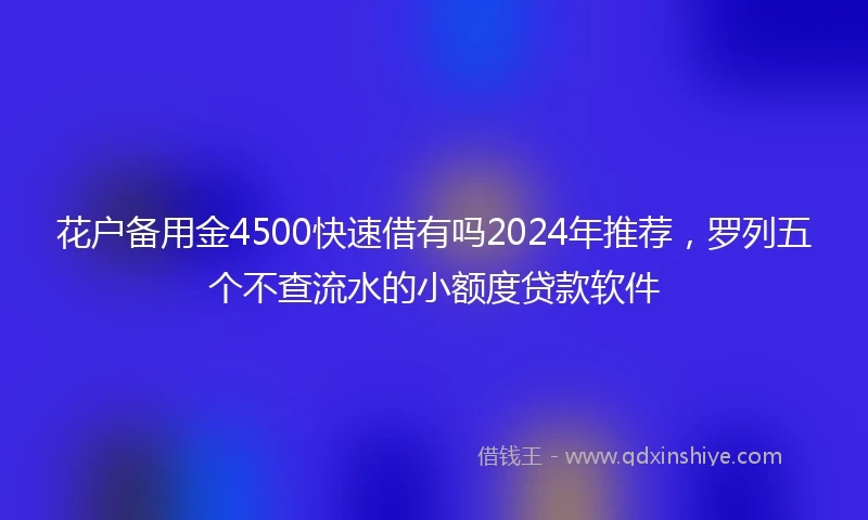花户备用金4500快速借有吗2024年推荐，罗列五个不查流水的小额度贷款软件